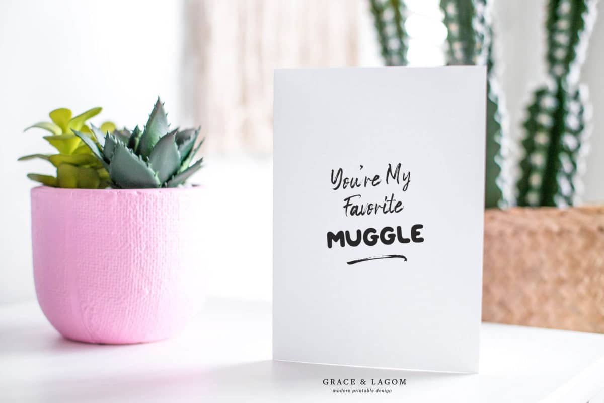 You're My Favorite Muggle